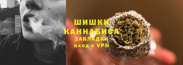ГАЛЛЮЦИНОГЕННЫЕ ГРИБЫ Абаза