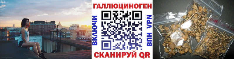 Псилоцибиновые грибы Psilocybine cubensis  Курлово 